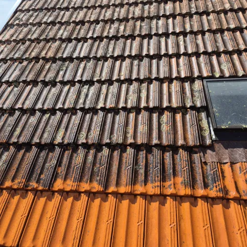 WhatsApp Image 2025-10-20 at 16.07.11